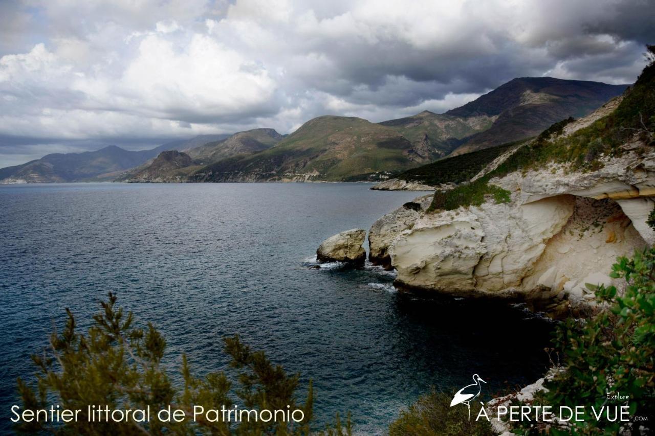 Chambre D'Hotes A 5Mn Des Plages Patrimonio Kültér fotó
