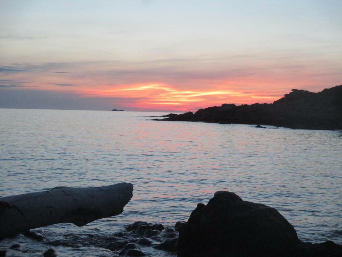 Chambre D'Hotes A 5Mn Des Plages Patrimonio Kültér fotó